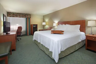 Hampton Inn Alamogordo Hotels near Speedway