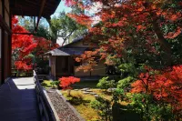 京都JUNEI飯店