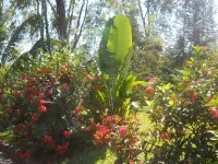 Sunny Golf Hotel Hotel a Tamatave