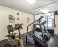 Quality Inn & Suites at Tropicana Field - Gym