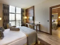Dedeman Erbil Hotel City Center 아르빌 호텔