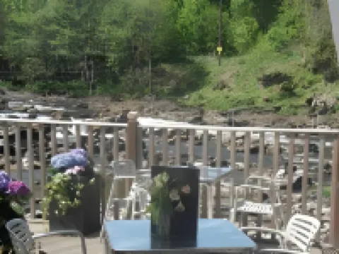 디 인 온 더 테이