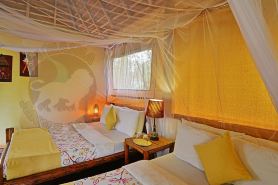 Ishasha Jungle Lodge