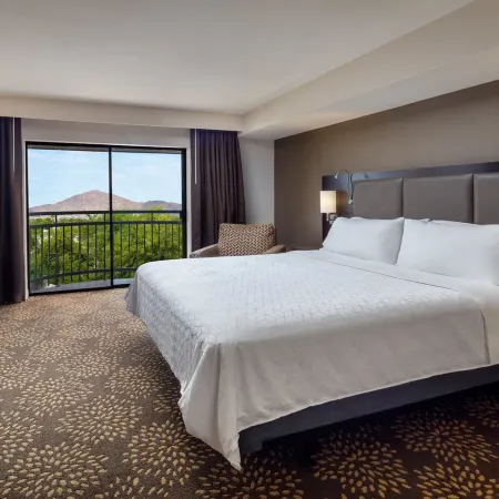 Holiday Inn & Suites PHOENIX AIRPORT NORTH by IHG