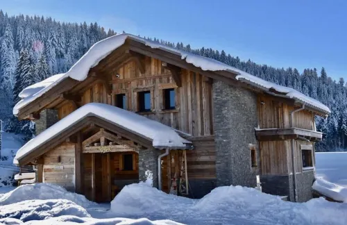 Chalet Gérardmer Lac Jacuzzi Sauna/Hammam.