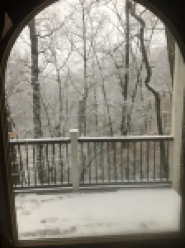 Tranquil Treehouse Cottage, King Bed, River View