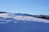 Apartment with fireplace on the Rennsteig in the Thuringian Forest