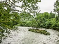 Tranquil sounds of the Dan River heard from the front porch or by the firepit. Hotel di Patrick County