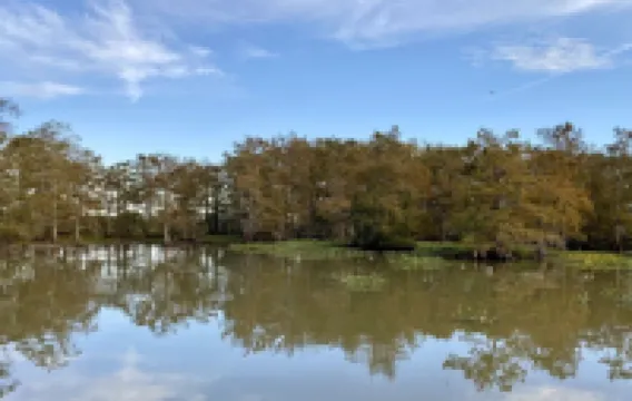The Stumble Inn Cypress Cove Marina Houseboat