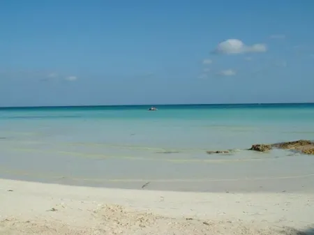 House beautiful nature sea and mountain views, garden, air conditioning Отели рядом с достопримечательностью «Масинажжио»