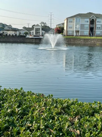 Beautiful apartment surround by all stores with a nice lakeview and buckroebeach