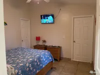 TAMPA FLORIDA VACATION DELIGHT