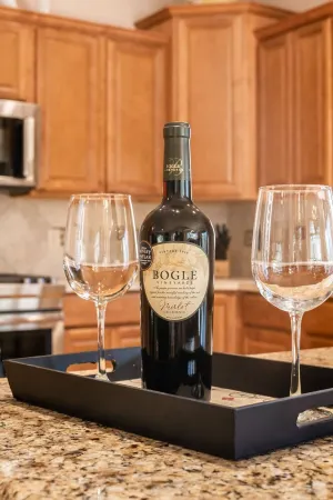 Cozy Mountain Retreat for the Holidays! December Special!