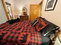 The Bear Den - Lovely 2 Bedroom 1 Bath home close to skiing, snowmobiling & more