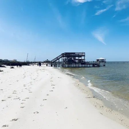 Private Waterfront Bay Beach. Huge Back Deck Overlooking the Bay.  Bring Dogs!