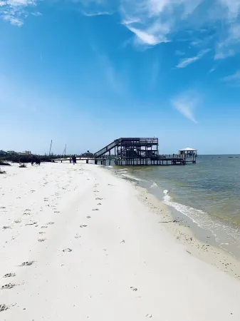 Waterfront private sandy Bay Beach & private pathway to Gulfside. Bring dogs! Отели в г. Дофин-Айленд