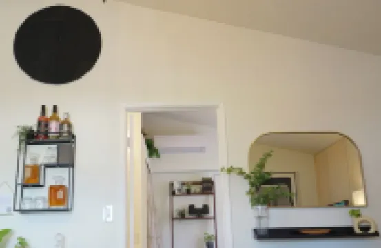 Downtown Vaulted Luxe Haus-near Napa. Walk Downtown. Pet-Friendly!