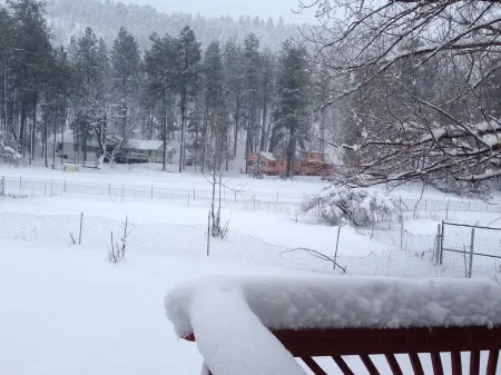 Cozy but roomy cabin in the mountains next to Strawberry Creek Отели в г. Строберри