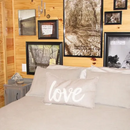TLC-Tiny Cabin with loft located in park like setting.