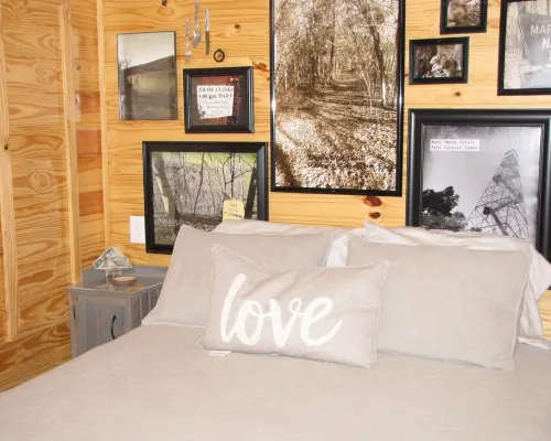 TLC-Tiny Cabin with loft located in park like setting. Hotéis em Shell Knob