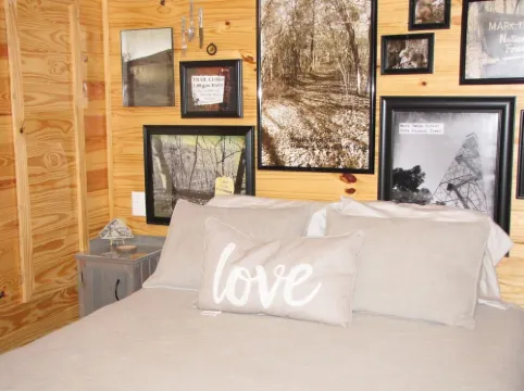 TLC-Tiny Cabin with loft located in park like setting. Hotels in Shell Knob