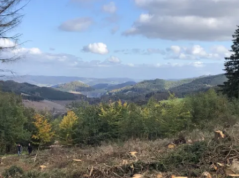 Family-friendly, cozy and plenty of space with balcony high above Bödefeld