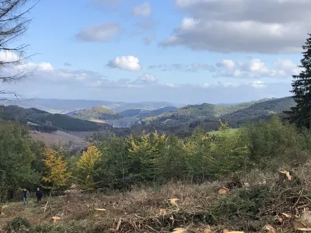 Family-friendly, cozy and plenty of space with balcony high above Bödefeld