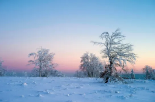 Vacation apartment "Katarina 1", right next to Landhotel Albers - your landlords