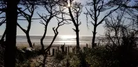 Cozy Family Cabin-Secluded beach access, non-smoking home awaits you