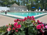 New Seabury Cape Condo + Pool & Beach Escape - Pool