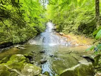 NEW FOREST COTTAGE W/GRILL & SCREENED IN PATIO:HIKE, FISH, GOLF, WATERFALLS