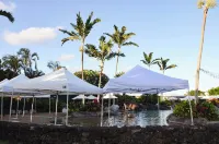 Kiahuna Plantation Ocean View with AC, REMODELED, 1 Bedroom, Sleeps 4