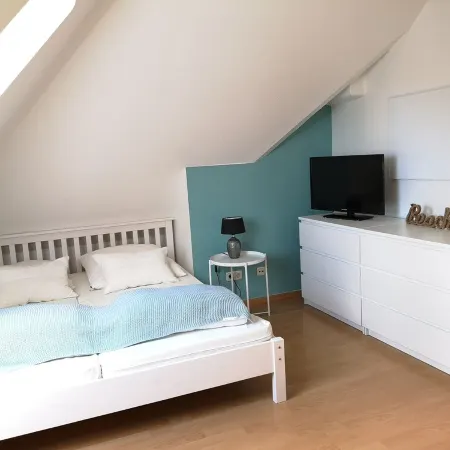 Apartment with 3 bedrooms, balcony and fireplace - perfect for couples/families