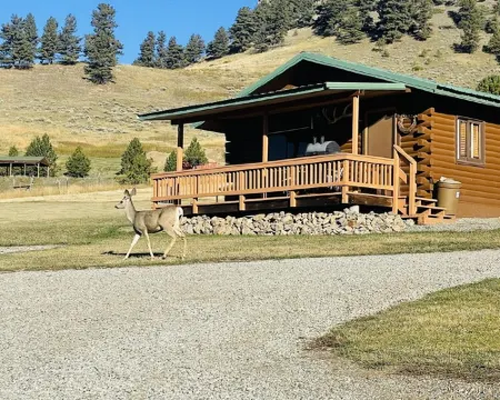 Elk Cabin - Mountain Views, Hear Rushing River, Private, Pet Friendly 斯蒂爾沃特縣酒店