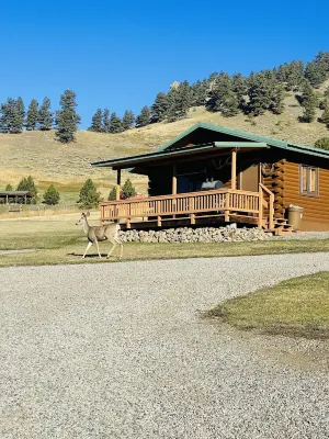 Elk Cabin - Mountain Views, Hear Rushing River, Private, Pet Friendly