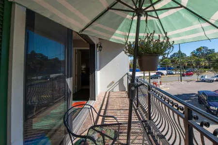 Downtown Dunedin Walking District Отели рядом с достопримечательностью «Seeds»