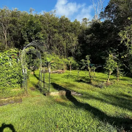 Parklike 4 bedroom AnthuriumHouse, 3+ acres, peaceful, gated, convenient
