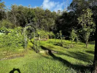 Parklike 4 bedroom AnthuriumHouse, 3+ acres, peaceful, gated, convenient