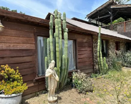 Historic 1914 Stone Cabin + Private Trails & Creek Hotels in Topanga