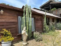 Historic 1914 Stone Cabin + Private Trails & Creek