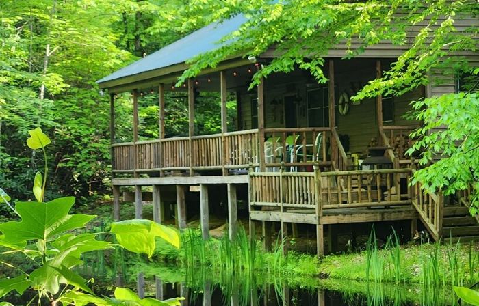 Peaceful Secluded Cabin  in Mountain City.