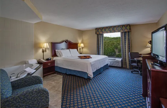 希爾頓歡朋酒店-克利爾菲爾德