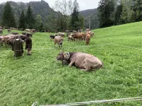 Newly renovated November 2024! Cozy vacation apartment "Hygge-Alpin" Oberstdorf 오버스트도르프 호텔