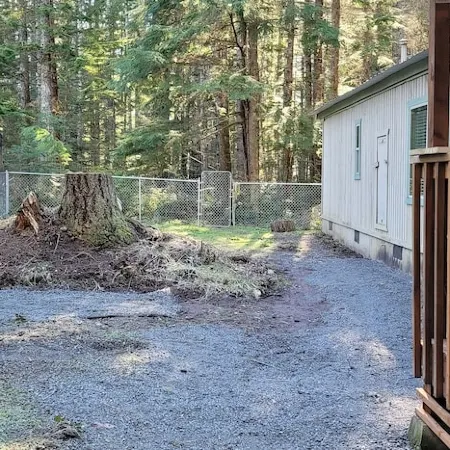 Penguin Cabin The Utmost Family Mt Rainier Getaway
