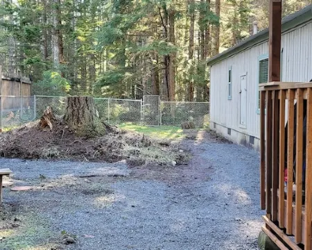 Penguin Cabin The Utmost Family Mt Rainier Getaway 阿什福德酒店