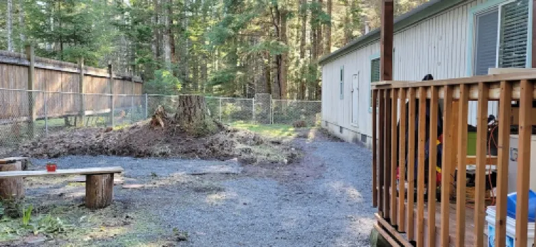 Penguin Cabin The Utmost Family Mt Rainier Getaway
