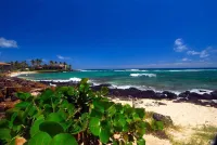 4 BDR, 3 BR, A/C, walk to beaches, restaurants and The Grand Hyatt