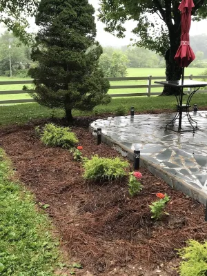 OUR HOME ...AWAY FROM HOME Hotels in Alleghany County