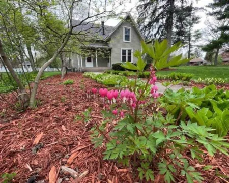 Hidden Northfield Cottage โรงแรมในNorthfield