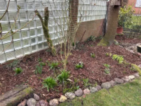 A Little Sea is Always Welcome